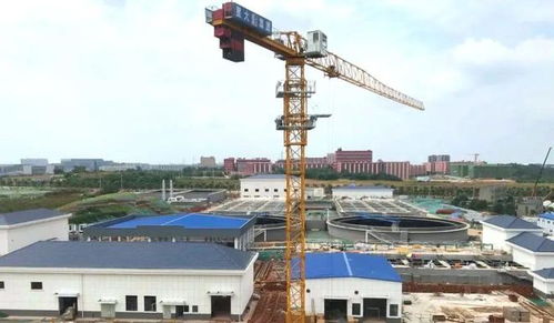 長沙縣教育基建再發(fā)力 新校落成與重點項目施工進展盤點